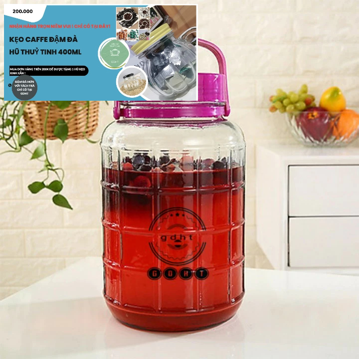GDHT Bình Ngâm Rưou Thủy Tinh Nắp Tím/Đỏ Quai Xách Nhiều Size
