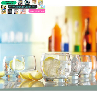 [ ảnh thật ] Bộ 6 ly thủy tinh thấp 290ml