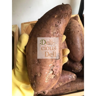Khoai lang Đà Lạt 1kg (Nhật / mật / tím)