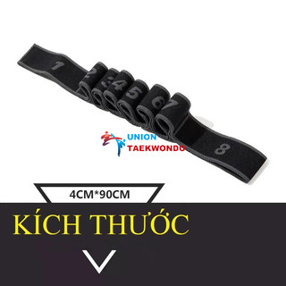 Dây Kháng Lực Taekwondo x UnionTaekwondoSHOP