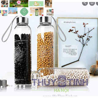combo 10 chai thủy tinh dây xách 500ml