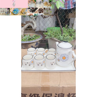 Bộ bình 6 cốc kèm khay sứ xương cao cấp