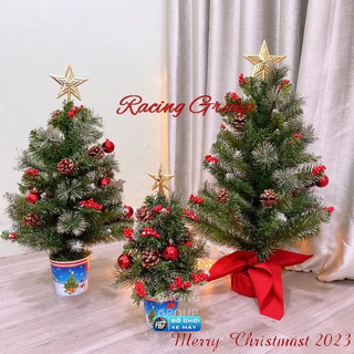 Cây thông noel mini 3 loại lá đủ size 40cm, 60cm, 77cm dùng trang trí bàn làm việc, phòng ngủ, không gian nhỏ...
