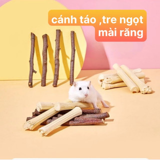 Đồ mài răng cho hamster , thỏ, bọ ú ,sóc bay, chinchila v.v...