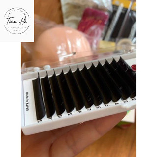 Mi nối độ cong C mi hàn quốc Cao Cấp