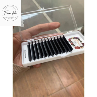 Mi nối độ cong D Mi hàn quốc Đủ Size