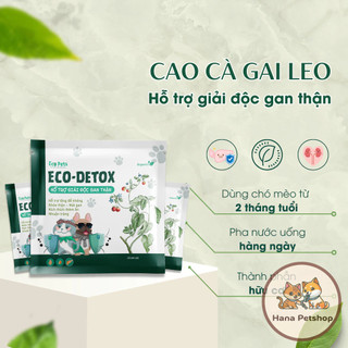 Bổ gan thận, Giải độc gan thận cho chó mèo