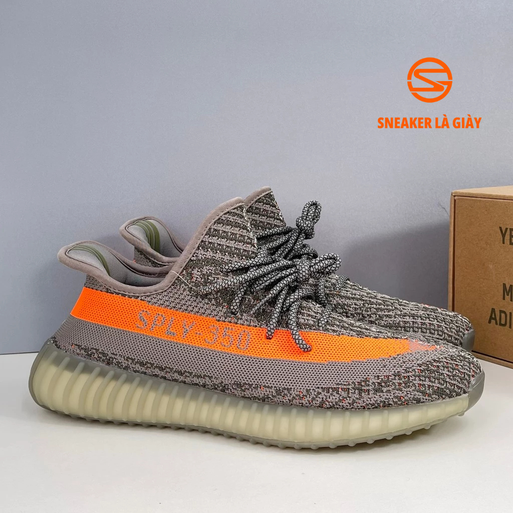 Giày Yz350 v2 Beluga Boost nén Fullbox - BẢN CAO CẤP
