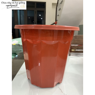 Chậu nhựa trồng cây, chậu ươm cây màu nâu e230, e280, e300 hàng công ty dày đẹp