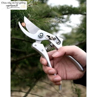 Kéo Cắt Tỉa Cành Sk5 Sada 210 Nhật Bản 210mm Cộng Lực Thép Không Gỉ