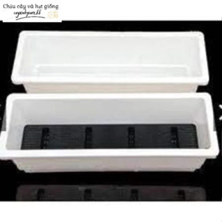 Combo 10 Chậu nhựa hình chữ nhật trồng hoa,trồng rau,trồng cây thông minh dày đẹp (kt 48x20x16cm)