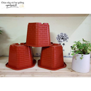 Chậu nhựa trồng cây hoa lục giác FA350 - chậu hàng công ty dày đẹp KT 26x20cm hàng đẹp