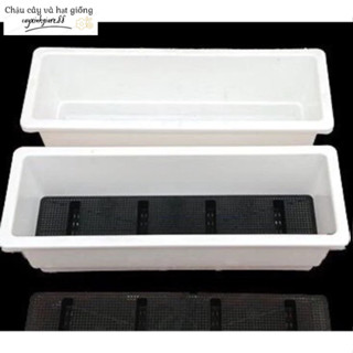 Combo 3 chậu chữ nhật  trồng cây, trồng rau thủy canh, nuôi cá size 48x20x16cm