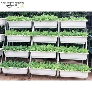 [02 chậu] Chậu nhựa trồng hoa, trồng rau, trồng cây cảnh hình chữ nhật thông minh KT 67X23X19cm