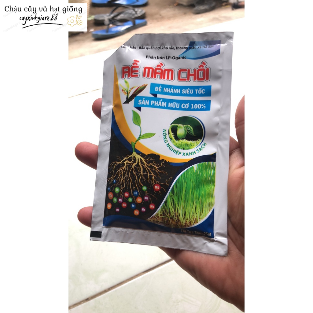 PHÂN BÓN HỮU CƠ RỄ MẦM CHỒI