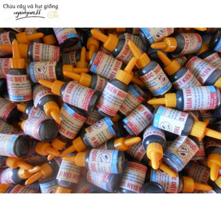 Thuốc diệt kiến tận gốc