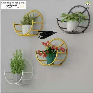 Giỏ treo hoa, giỏ treo chậu cây hình bán nguyệt