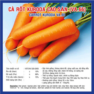 Gói 10 gram hạt giống cà rốt kurado cao sản