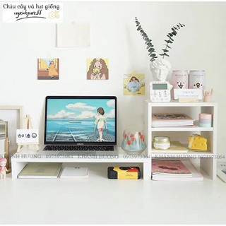Combo kệ để máy tính kèm kệ sách để bàn