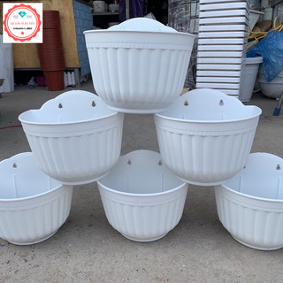 [05]Chậu ốp tường trồng cây, hoa vân sọc- Chậu treo tường trồng cây, chậu bán nguyệt ốp tường loại 1 dày đẹp