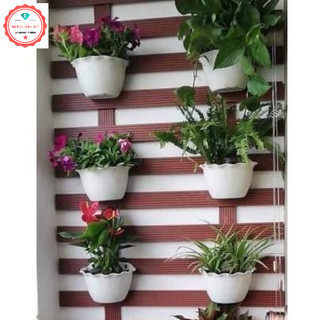 Chậu ốp tường trồng cây, hoa- Chậu treo tường trồng cây, chậu bán nguyệt ốp tường loại 1