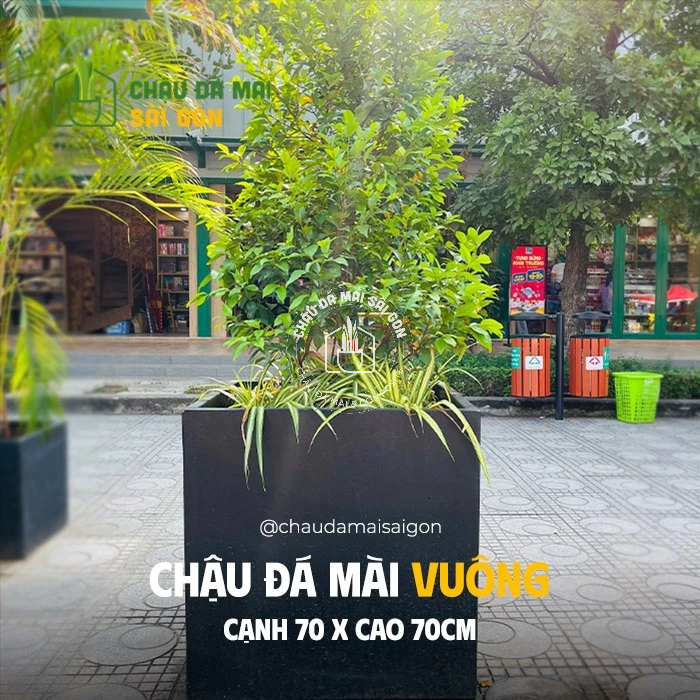 [FREESHIP HCM] Chậu đá mài VUÔNG 70x70CM - Chậu trồng cây VUÔNG 70CM