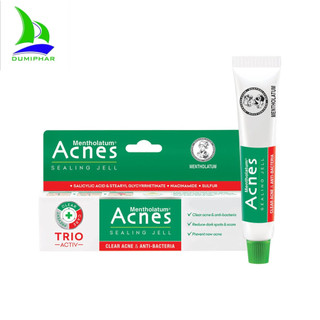 Gel ngừa mụn kháng khuẩn Acnes Sealing Jell 18g