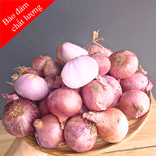 Hành tím cô đơn, hành tím ấn độ