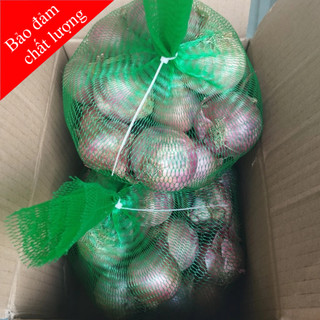 Hành tím cô đơn, hành tím ấn độ