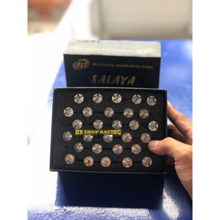 COMBO 10 CON ỐC SALAYA XOẮN DÀN ÁO YA