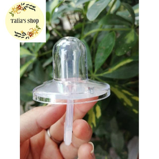2 loại - Núm ti ngậm Cacara