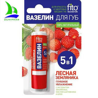 Son dưỡng môi fito 5 in 1 nga