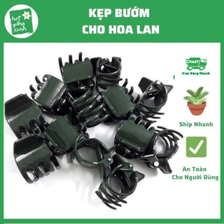 20 kẹp hình bướm cố định ngồng hoa lan hồ điêp