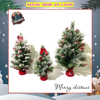 Cây thông noel mini để bàn 60cm, 45cm phủ tuyết và 75cm 3 loại lá phủ tuyết gắn trái đỏ trang trí giáng sinh