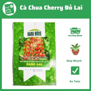 Hạt giống cà chua bi f1 cherry đỏ lai