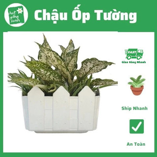 Chậu nhựa hàng rào treo tường,chậu ốp tường, chậu trồng cây, rau tiện lợi nhiều màu