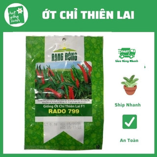 Hạt giống ớt chỉ thiên tỷ lệ nảy mầm cao