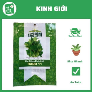 Hạt giống Rau Kinh Giới phù hợp khí hậu VN