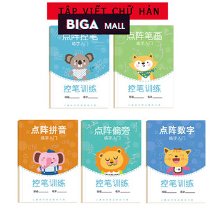 Vở tập viết chữ hán, Luyện viết tiếng trung TẬP NÉT dùng cho người mới bắt đầu Biga Book