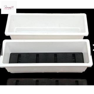 CHẬU NHỰA CHỮ NHẬT TRỒNG CÂY, HOA THÔNG MINH