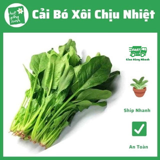 Rau Chân Vịt - Cải bó xôi Chịu Nhiệt (5g)