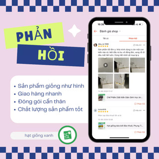 Hạt giống rau thơm Sả (Lá é)- húng trắng- 2 gram