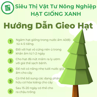 Hạt giống rau thơm Sả (Lá é)- húng trắng- 2 gram
