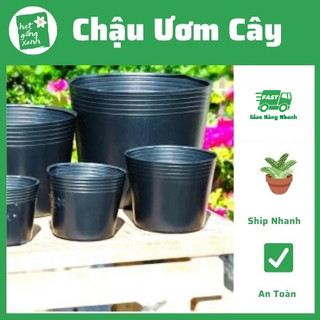 Combo 10 chậu ươm cây giống c7
