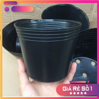 Combo 10 Chậu (Bầu) Ươm Cây Giống C7 (rộng 16 x cao 13 Cm)