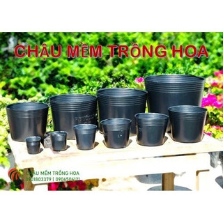Combo 10 Chậu (Bầu) Ươm Cây Giống C7 (rộng 16 x cao 13 Cm)