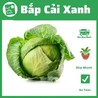 Hạt Giống Bắp Cải F1 (0.5gr)
