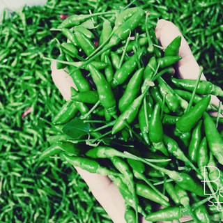 Hạt Giống Ớt Xiêm Xanh(0.1gr)