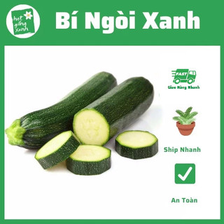 Hạt Giống Bí Ngòi Xanh (1g), dễ trồng, phù hợp khí hậu Việt Nam