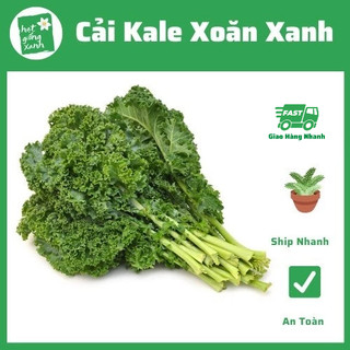 Hạt giống CẢI XOĂN KALE RADO 686- 5 gram